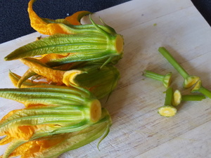 fleurs-courgettes-2