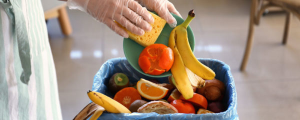 gaspillage alimentaire